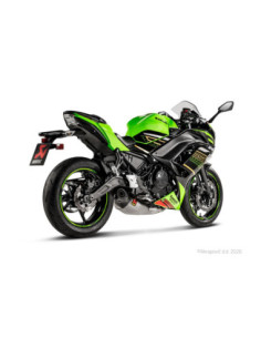 WYDECH RAC SS/TI Z650