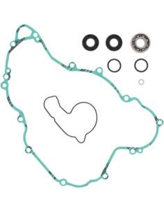 REMONTO RINKINYS VANDENS SIURBLYS KTM