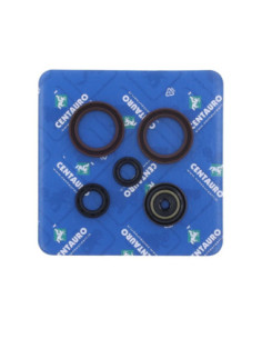 SEAL OIL KT/HV