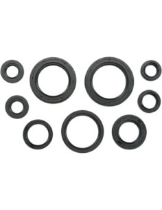 SEAL-KIT OIL-TRX450R