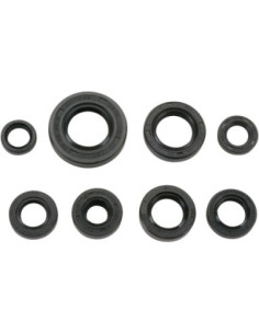 SEAL-KIT OIL-CR85R