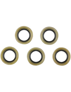 SEAL STARTER SHAFT 5PK