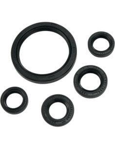 OIL SEAL SET MSE YAM