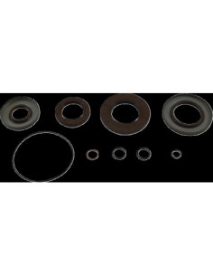 TRANSAXLE SEAL KIT POL MSE