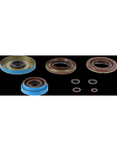 TRANSAXLE SEAL KIT POL MSE