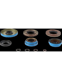 TRANSAXLE SEAL KIT POL MSE