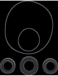 DIFFERENTIAL SEAL ONLY KIT FRO