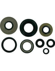 MSE MTR SEALS YFM350