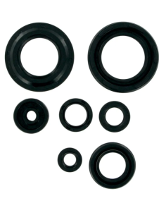 MSE MTR SEALS YSF200
