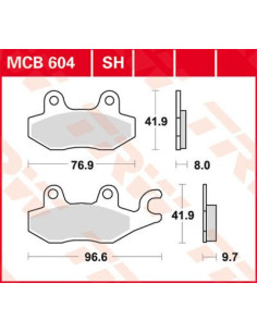 STABDŽIŲ TRINKELĖS TRW MCB604