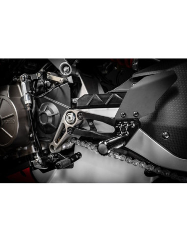 APRILIA RS/TUONO 660 GALINIŲ RATŲ RINKINYS F