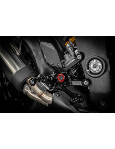 TRIUMPH SPEED TRIPLE 1200 RR/R
