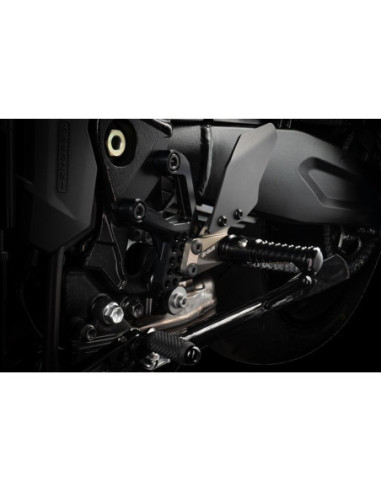 SUZUKI GSX-8S 2023 - ADJUSTABL