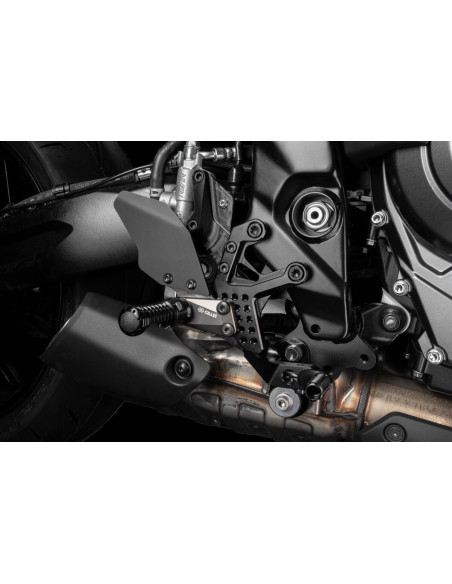 SUZUKI GSX-8S 2023 - ADJUSTABL