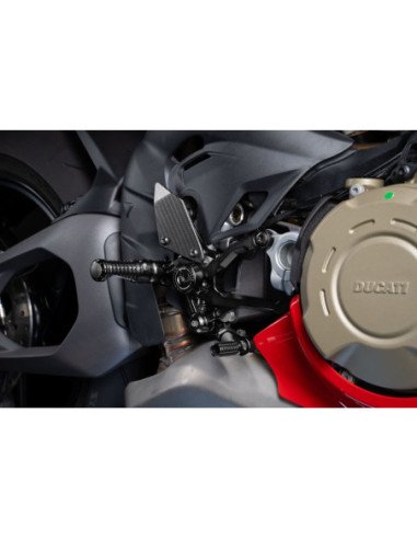 DUCATI PANIGALE V4/S 2025- REA