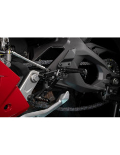 DUCATI PANIGALE V2/S 25- UŽPAKALINIAI RATAI