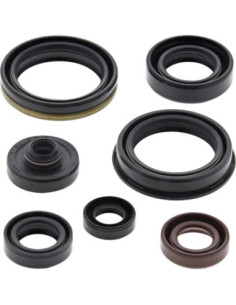 Oil Seal Kit