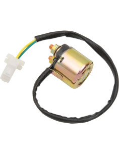 RICK'S MOTORSPORT ELECTRIC