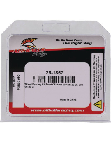 BEARING KIT WHEEL CF MOTO