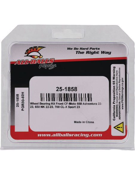 BEARING KIT WHEEL CF MOTO