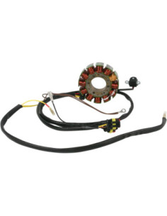 STATOR MUD POLARIS